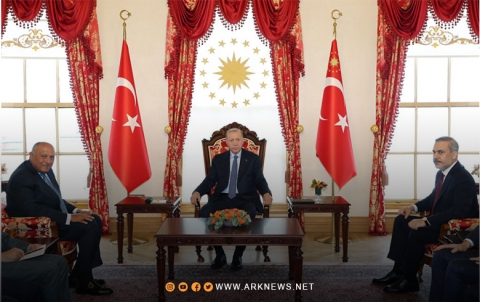 تركيا و مصر تبادلان الرؤى حول التطورات في سوريا 