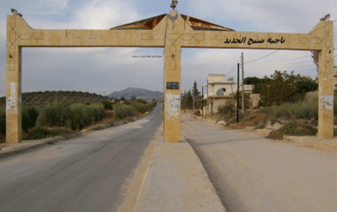 The local council in Sheye(Şiyê) town holds a meeting on the olive harvest