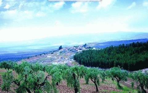 Afrin … inspection campaign of Turkish troops to pursue members of the armed factions and Arabs displaced Afrin … inspection campaign of Turkish troops to pursue members of the armed factions and Arabs displaced