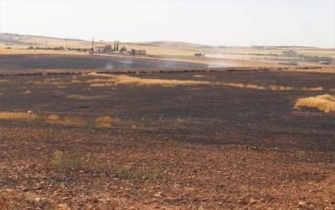 Kobanê .. agir bi 150 donim zevî ketin