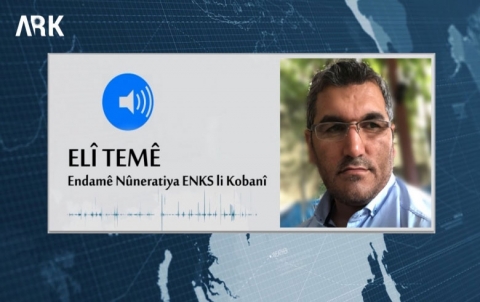 Ali Tammy: Turkey's entry into Kurdistan Syria is a foregone conclusion