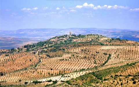  Afrin ... The arrest of Kurdish civilians in Qantare village
