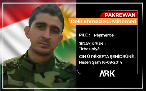 Delîl Ehmed ELî Mihemed