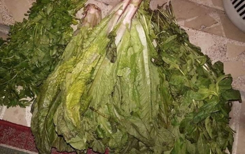 أوضاع مزرية يعيشها الكورد في حيي الشيخ مقصود والأشرفية