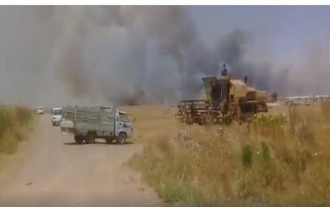 About 70,000 dعnums of wheat and barley were damaged by fires in the area