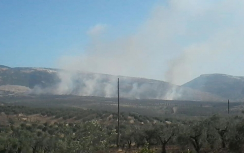 Afrin: Armed militias are setting fire to thousands of forest trees, cherries and olives Afrin: Armed militias are setting fire to thousands of forest trees, cherries and olives