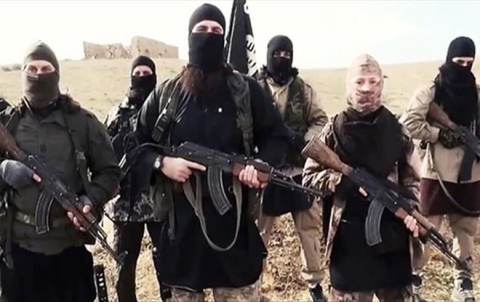 الأمم المتحدة تكشف عدد مسلحي «داعش» في العراق وسوريا