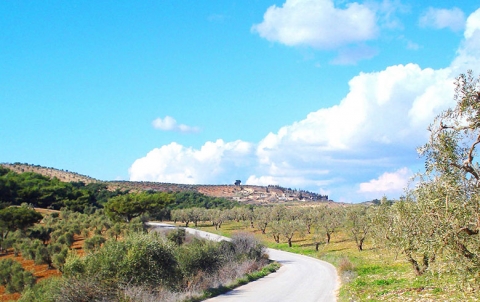 عه‌فرين .. 620 ژ خوله‌كه‌ پۆليسان ده‌رچوون 