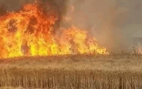 3 أشخاص ضحايا اندلاع النيران في سرى كانيى 3 أشخاص ضحايا اندلاع النيران في سرى كانيى