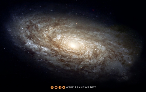 اكتشاف مجموعة ضخمة من النجوم في مجرة درب التبانة، قريبة نسبيا من نظامنا الشمسية