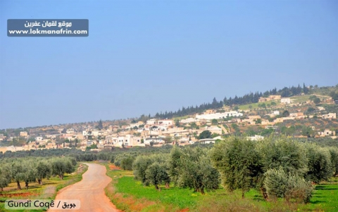 Efrîn .. Hêrsa Zeytûnê teqîna Coqê li xwe girit Efrîn .. Hêrsa Zeytûnê teqîna Coqê li xwe girit