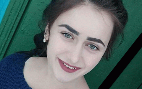 Ciwaneke okranî ji serma re jiyana xwe ji dest da 