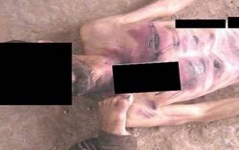 16 من أبناء الحسكة قضوا تحت التعذيب في سجون النظام السوري