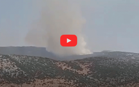 بالفيديو... الحرائق تلتهم جبل هاوار في عفرين