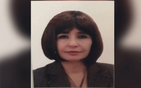 Kurda Badro: The goal of the US observation points, pleasing Turkey