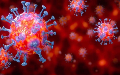 Researchers... There is a worrying decline in the antibodies of people recovering from corona