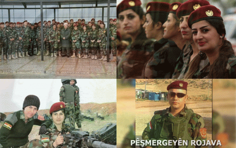 Hêza Pêşmergeyê Leşkerê Roj .. Damezrandin, Tekoşîn, û Hêvî