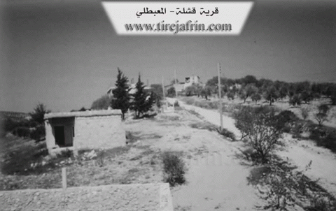 عفرين .. عودة العوائل الكوردية إلى قرية بركى عفرين .. عودة العوائل الكوردية إلى قرية بركى