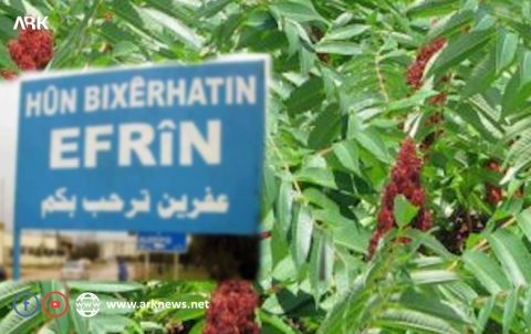Afrin... Are the armed groups, free revolutionaries, or traders? 