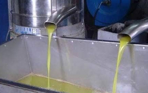 Afrin … Despite the opening of a commercial crossing, the prices of agricultural crops are low