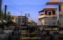 حشرة تجتاح الأحياء القديمة في دمشق