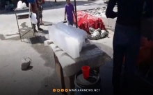 الحسكة.. سعر قالب 