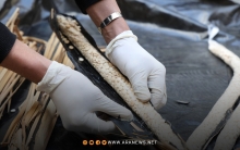 سوريا تحبط محاولة تهريب شحنة كبيرة من 