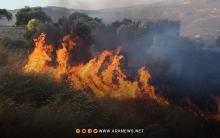 النيران تلتهم مساحات واسعة من الغطاء النباتي في شمال غربي مدينة إدلب 