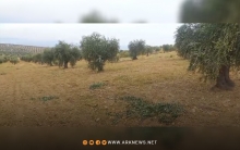 عفرين.. مسلحو الحمزات والعمشات يفرضون الإتاوات على أهالي قرية 