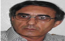 Abdul Rahman Kllo: Turkish bombing on Kobani is to pressure on America in the east Euphrates