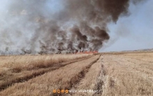 قصف نظام الاسد يتسبب بحرق مئات الدونمات الزراعية في سهل الغاب