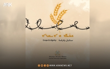 المنظمة الآثورية الديمقراطية: قرار إدارة PYD الخاص بتسعيرة القمح مجحف بحق الفلاحين والمزارعين
