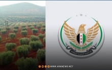  الحكومة السورية المؤقتة: حماية بساتين الزيتون في عفرين تشكل أولوية
