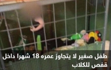 حادثة صادمة... طفل محبوس في قفص للكلاب محاط بالثعابين 