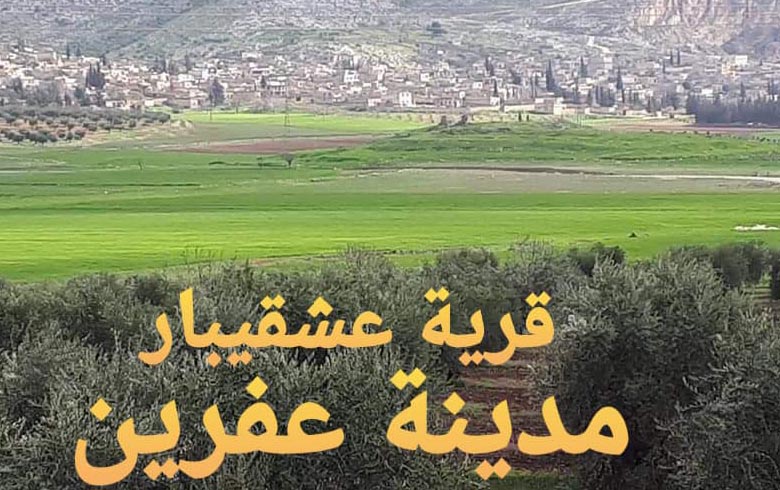 Afrin... The kidnapping of the Kurds and theft of their crops are daily violations by the pro-Turkish armed groups and factions